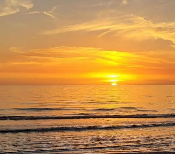 It's A Shore Thing - Stay, Relax, & Enjoy! Clearwater Beach